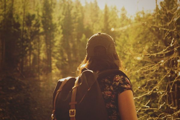 Wandern im Steigerwald